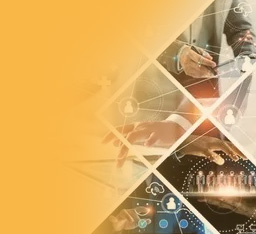 上海百派国际物流