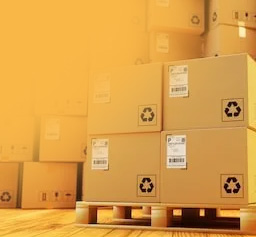 上海百派国际物流