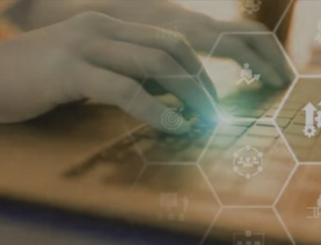 上海百派国际物流